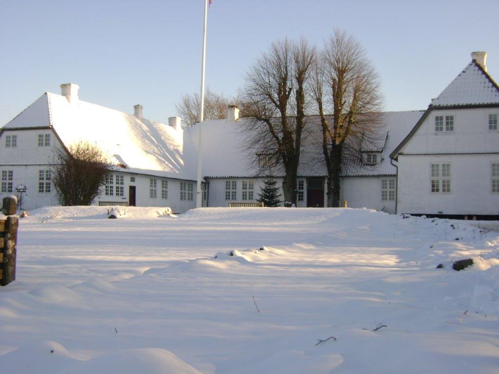 sne
